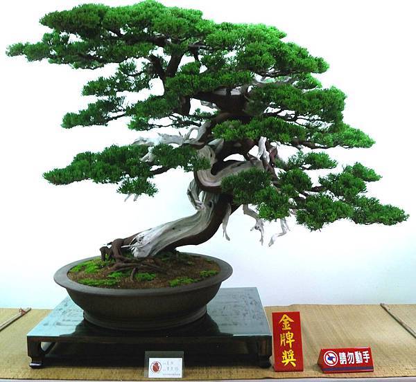 DSC_7262.jpg DSC_7262.jpg