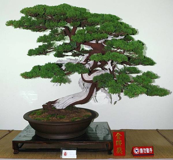 DSC_7261.jpg DSC_7261.jpg