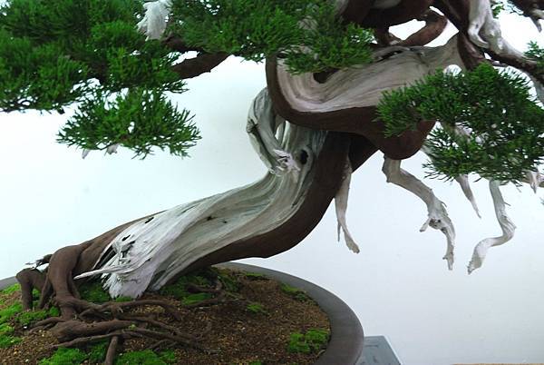 DSC_7263.jpg DSC_7263.jpg