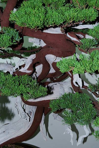 DSC_7265.jpg DSC_7265.jpg