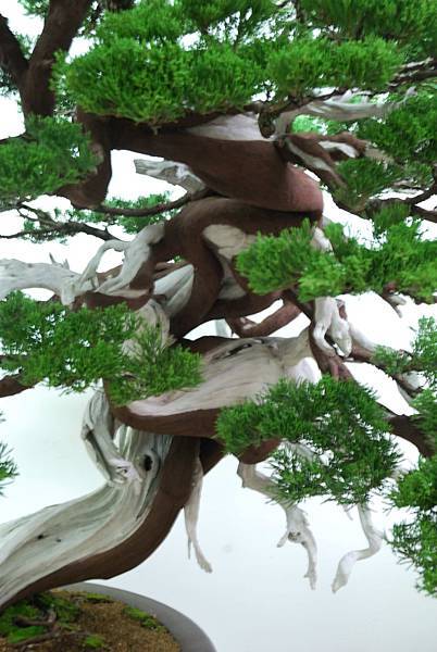 DSC_7264.jpg DSC_7264.jpg