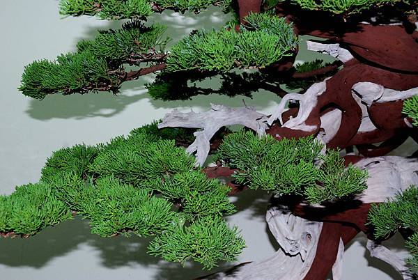 DSC_7266.jpg DSC_7266.jpg