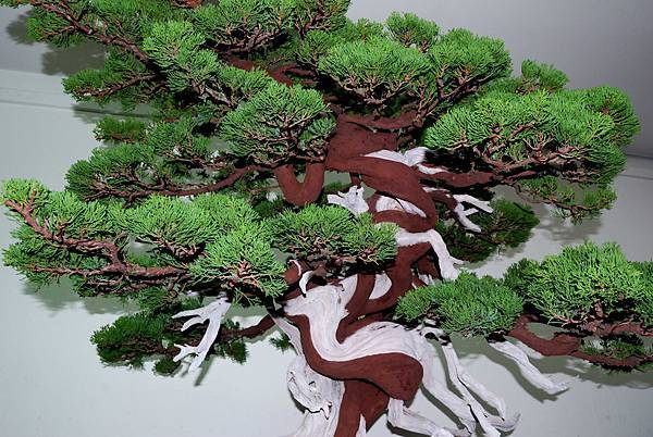 DSC_7267.jpg DSC_7267.jpg