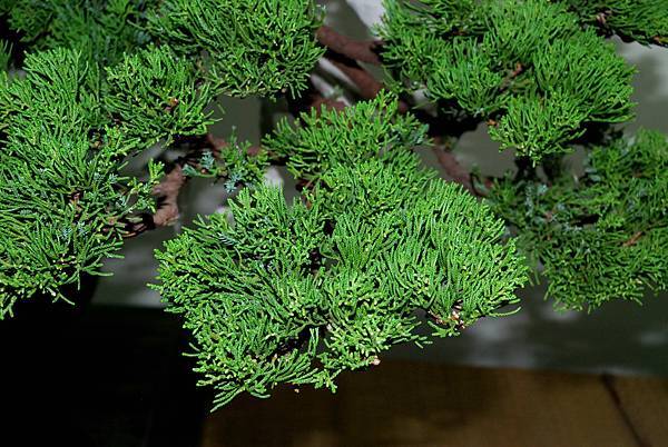 DSC_7268.jpg DSC_7268.jpg