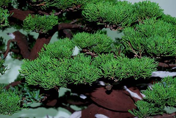 DSC_7269.jpg DSC_7269.jpg