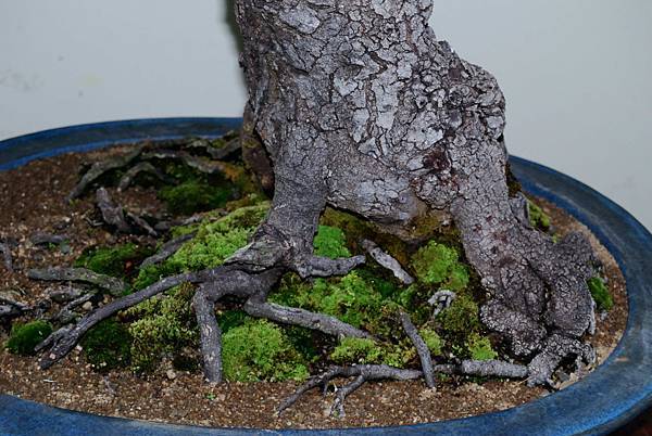 DSC_7271.jpg DSC_7271.jpg