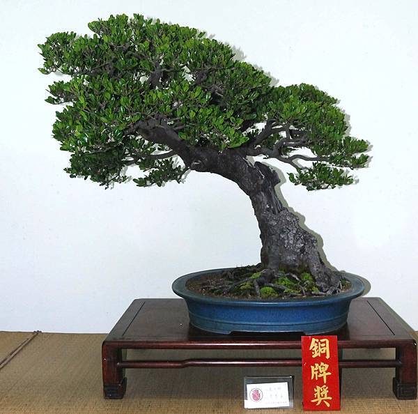 DSC_7270.jpg DSC_7270.jpg