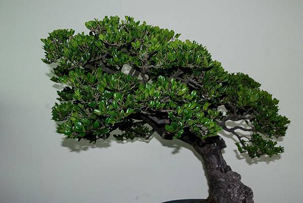 DSC_7273.jpg DSC_7273.jpg