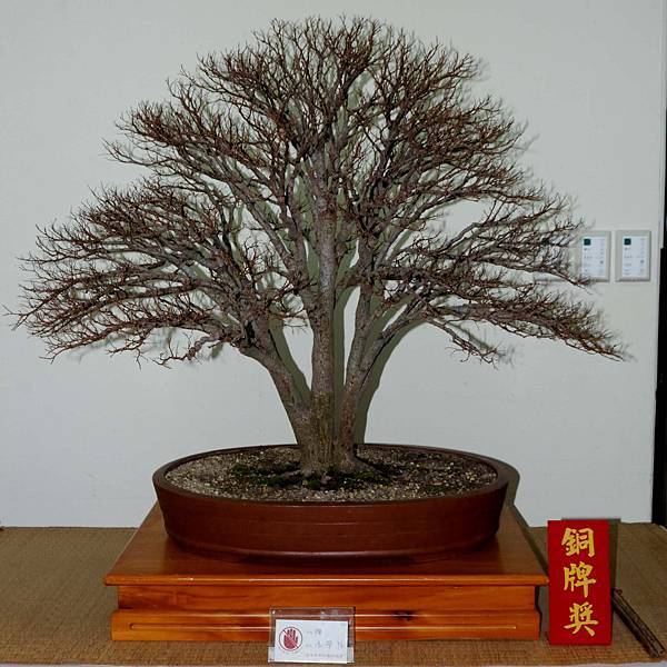 DSC_7275.jpg DSC_7275.jpg