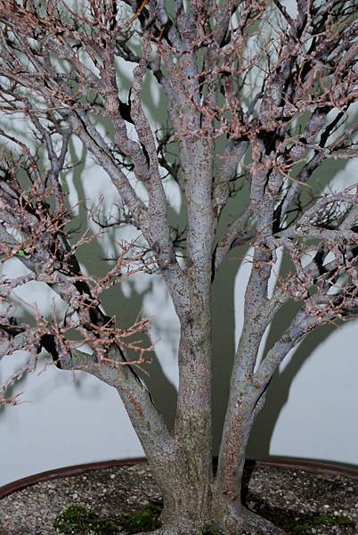 DSC_7277.jpg DSC_7277.jpg