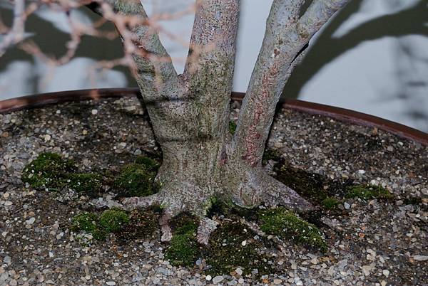 DSC_7276.jpg DSC_7276.jpg