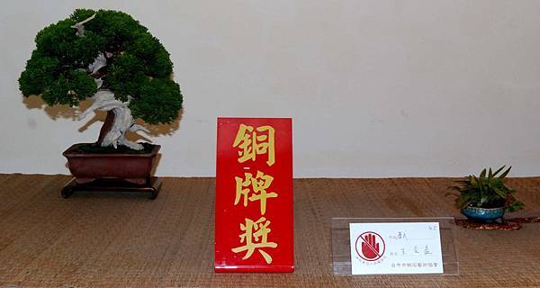 DSC_7279.jpg DSC_7279.jpg