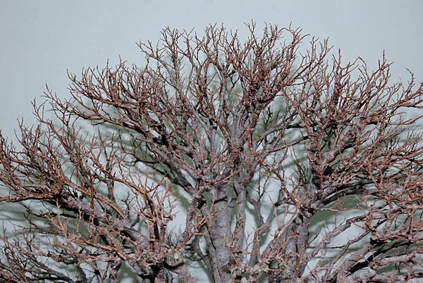 DSC_7278.jpg DSC_7278.jpg