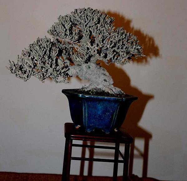 DSC_7281.jpg DSC_7281.jpg