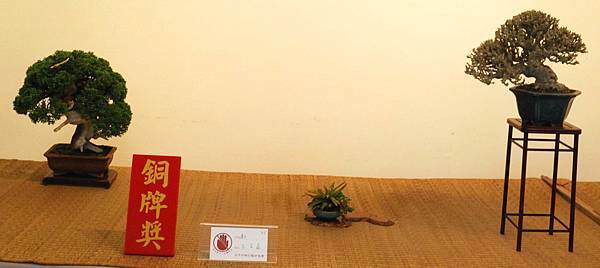 DSC_7282.jpg DSC_7282.jpg