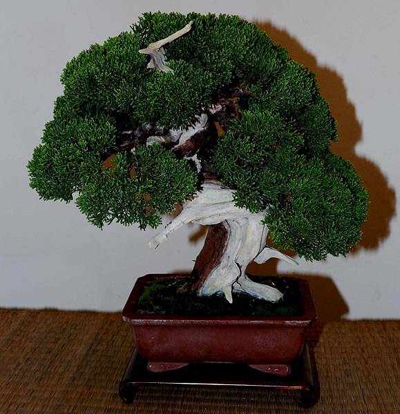 DSC_7280.jpg DSC_7280.jpg