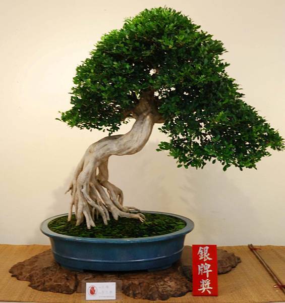 DSC_7283.jpg DSC_7283.jpg