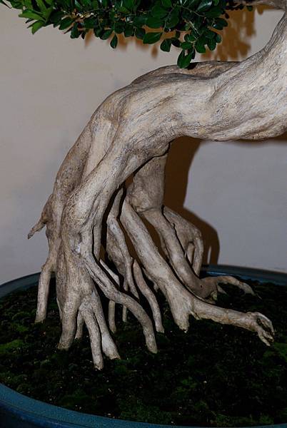 DSC_7285.jpg DSC_7285.jpg