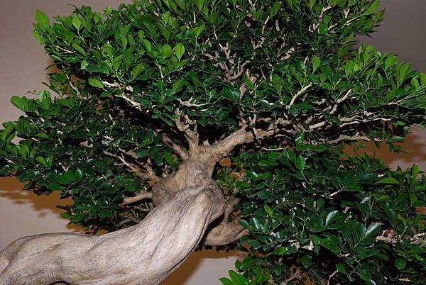 DSC_7288.jpg DSC_7288.jpg