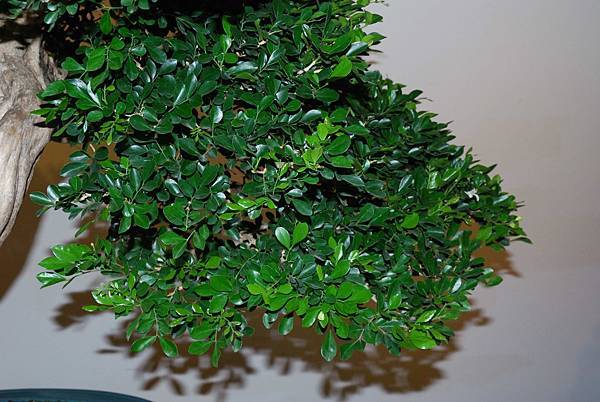 DSC_7287.jpg DSC_7287.jpg