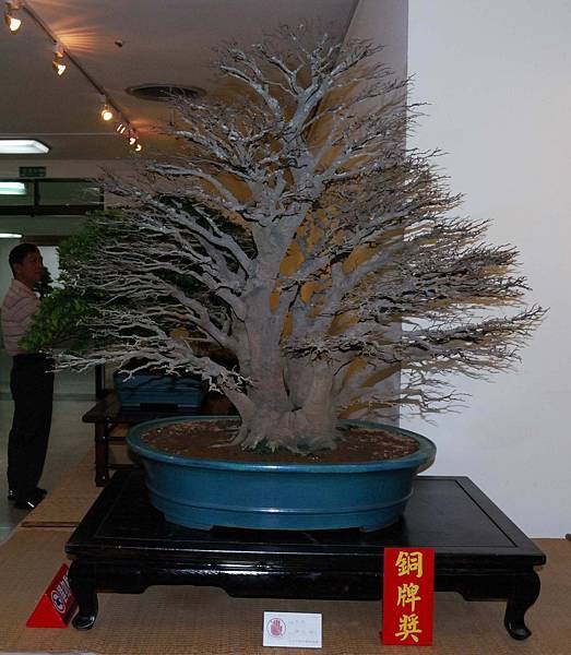 DSC_7292.jpg DSC_7292.jpg