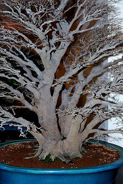 DSC_7294.jpg DSC_7294.jpg