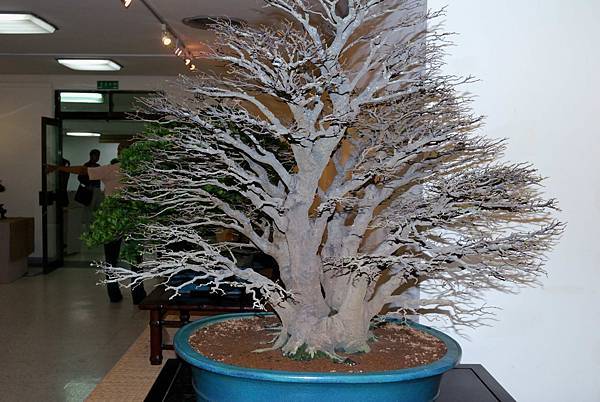 DSC_7295.jpg DSC_7295.jpg