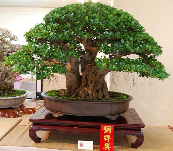 DSC_7297.jpg DSC_7297.jpg