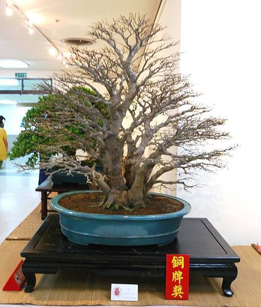 DSC_7296.jpg DSC_7296.jpg