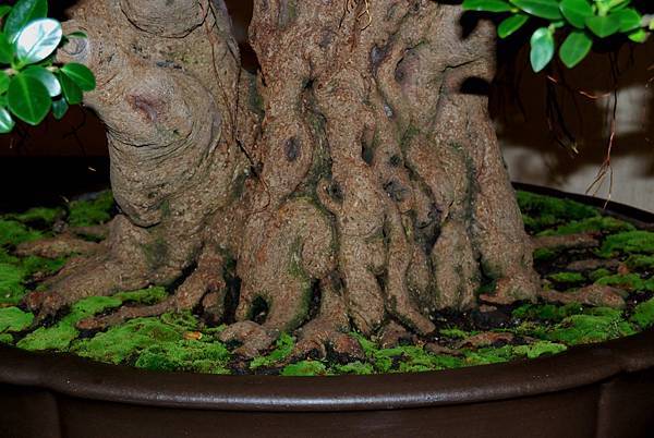 DSC_7300.jpg DSC_7300.jpg