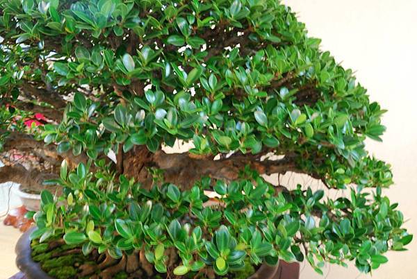 DSC_7304.jpg DSC_7304.jpg