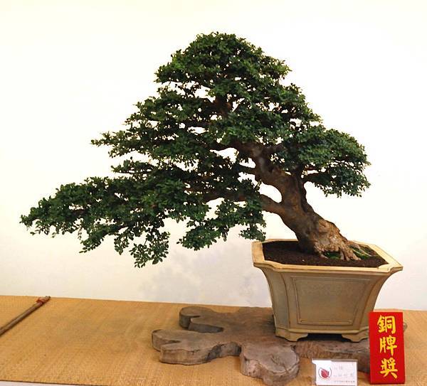 DSC_7308.jpg DSC_7308.jpg