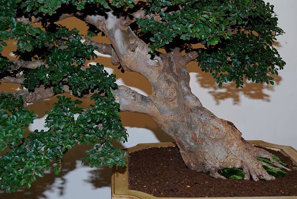 DSC_7310.jpg DSC_7310.jpg