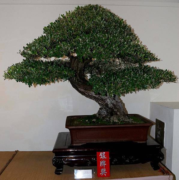 DSC_7312.jpg DSC_7312.jpg