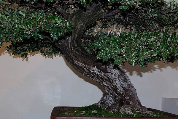 DSC_7314.jpg DSC_7314.jpg