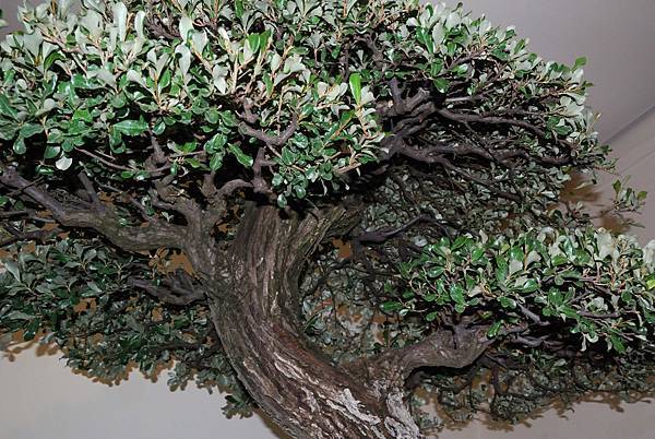 DSC_7315.jpg DSC_7315.jpg