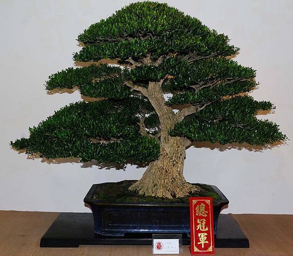 DSC_7317.jpg DSC_7317.jpg