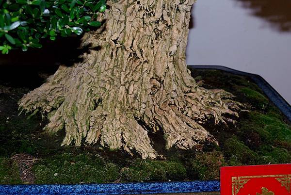 DSC_7318.jpg DSC_7318.jpg