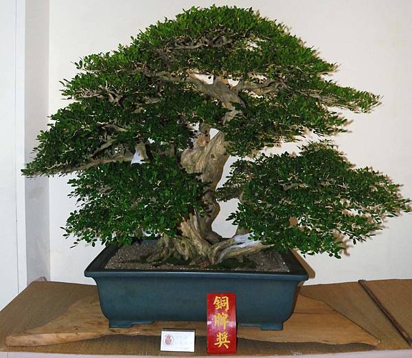 DSC_7323.jpg DSC_7323.jpg