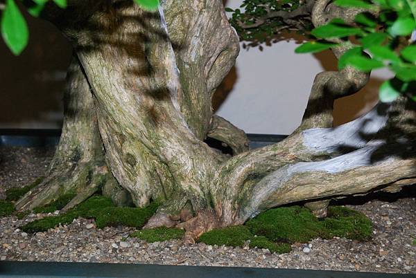 DSC_7324.jpg DSC_7324.jpg