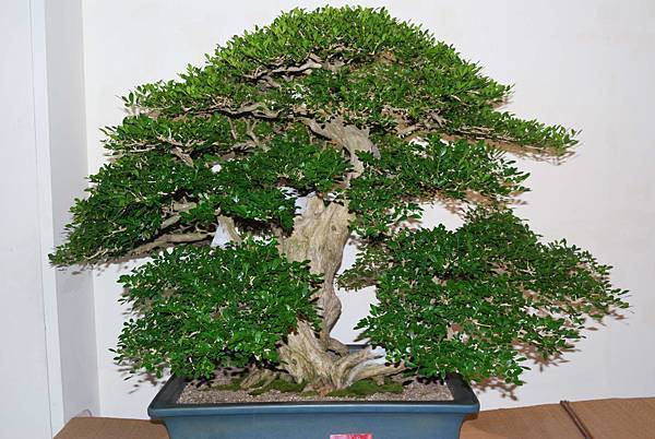 DSC_7326.jpg DSC_7326.jpg