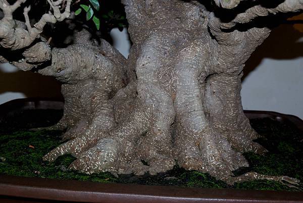 DSC_7329.jpg DSC_7329.jpg