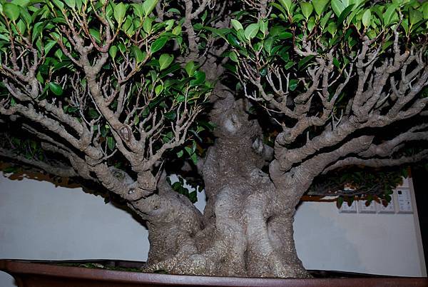 DSC_7330.jpg DSC_7330.jpg