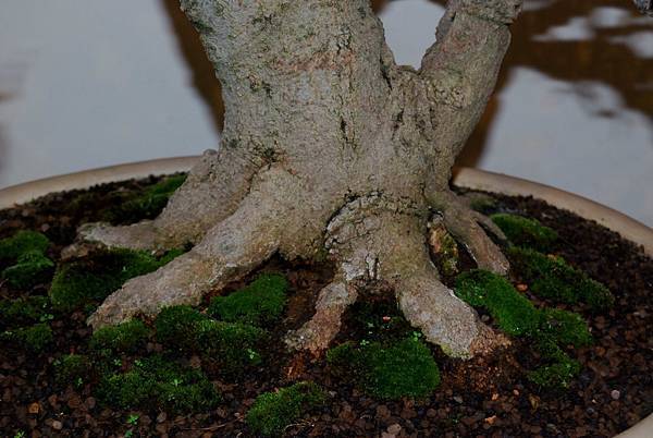 DSC_7334.jpg DSC_7334.jpg