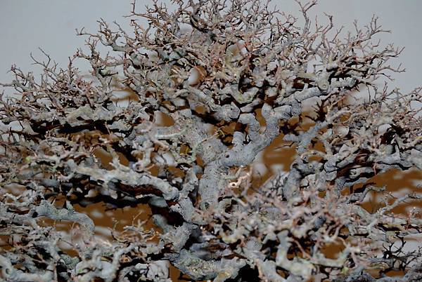 DSC_7336.jpg DSC_7336.jpg