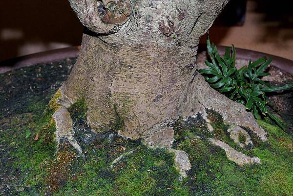 DSC_7342.jpg DSC_7342.jpg