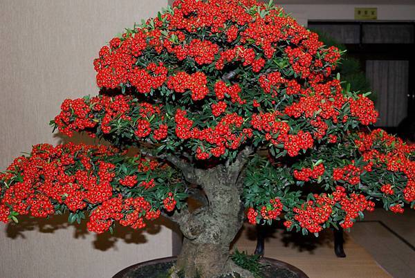 DSC_7344.jpg DSC_7344.jpg