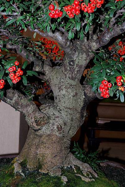 DSC_7343.jpg DSC_7343.jpg