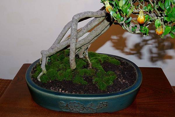 DSC_7347.jpg DSC_7347.jpg