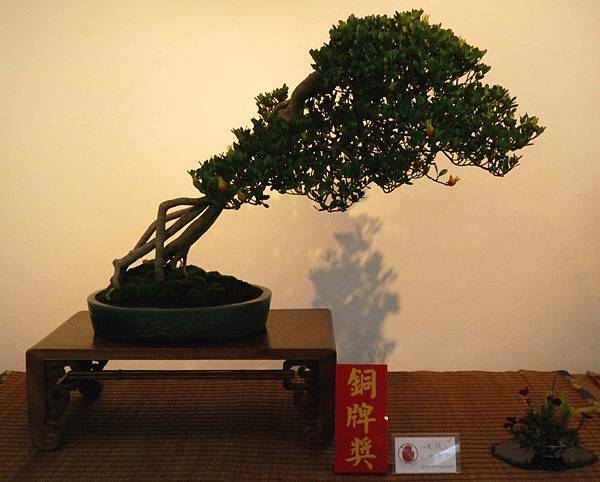 DSC_7345.jpg DSC_7345.jpg